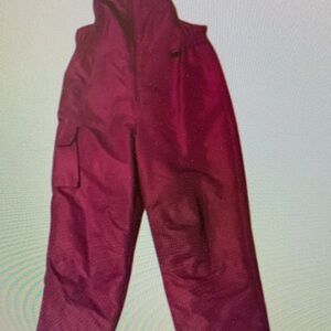 Kids Purple Snow Pants